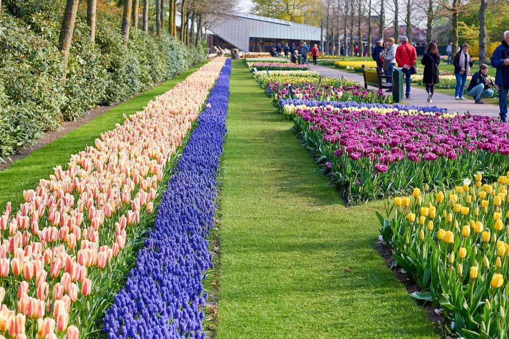 Photograph by Константин Кузнецов