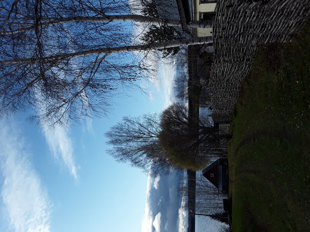 Photo #3844532
