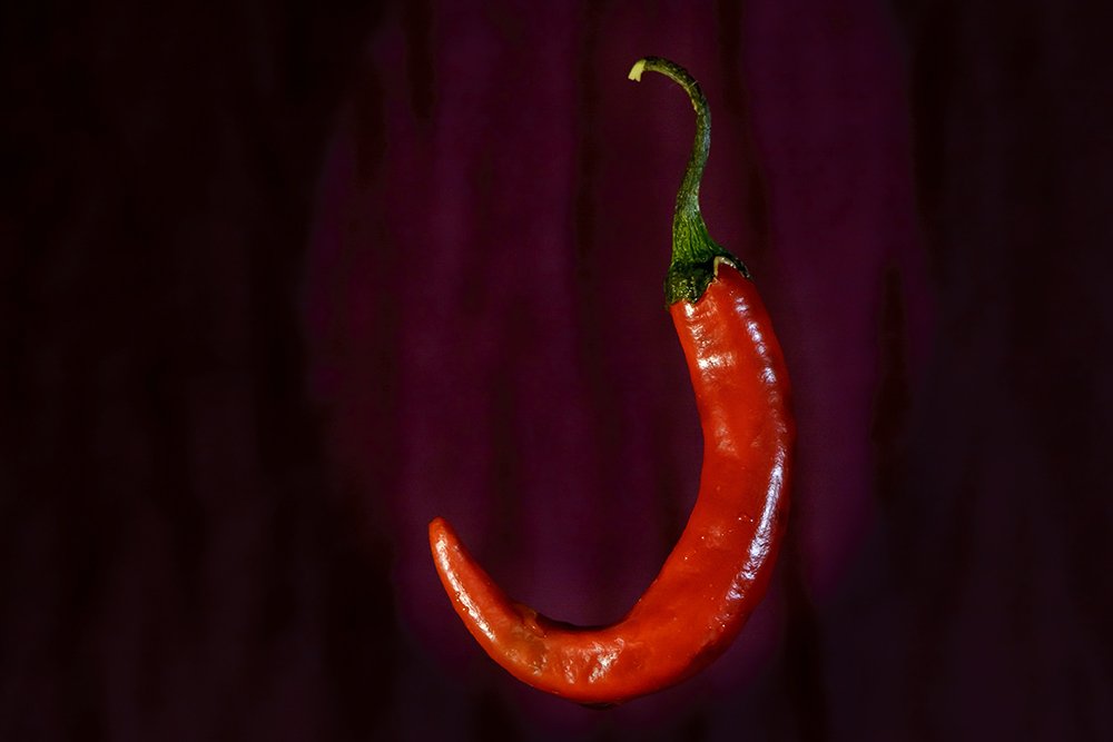 Фотография автора Majid Varasteh