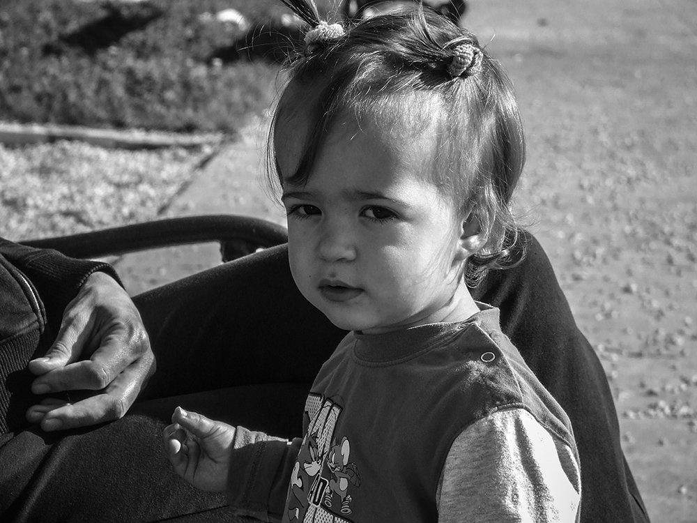 Photo #3844626