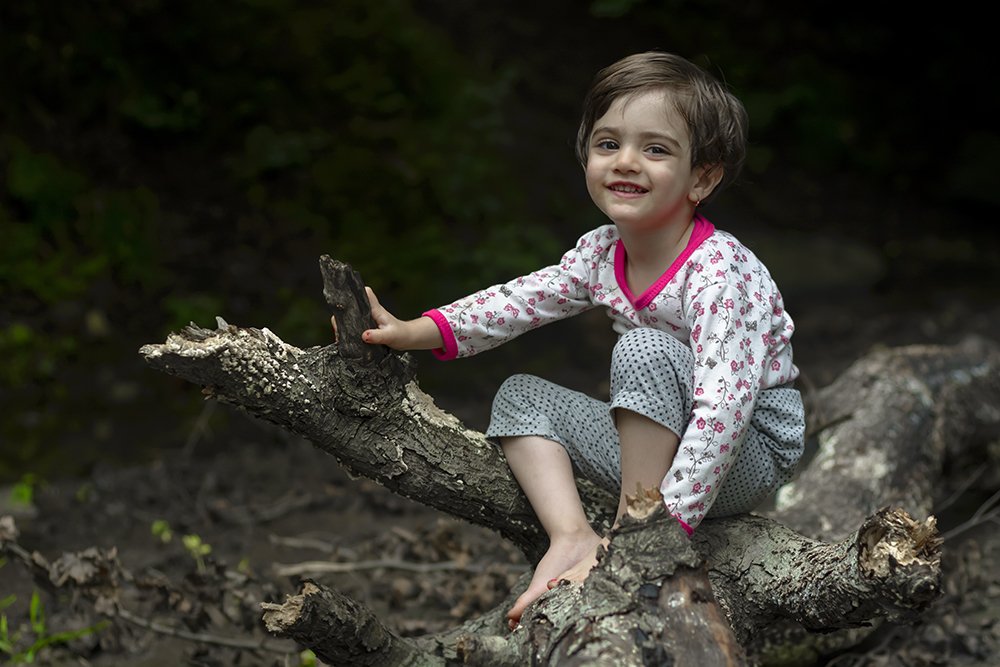 Фотография автора Majid Varasteh