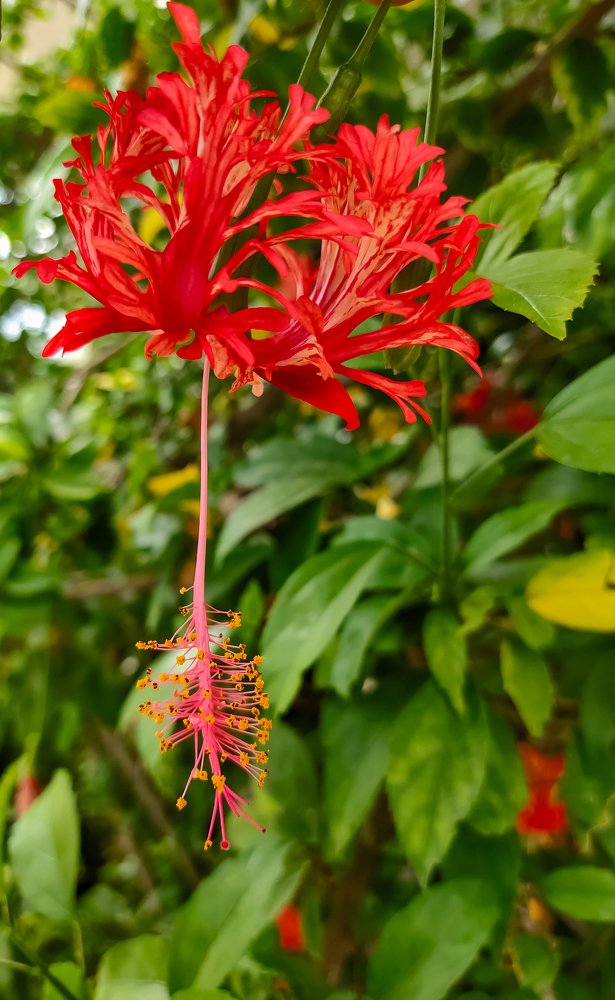 Photograph by Kandarp Mehta