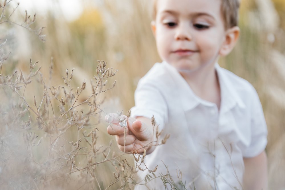 Фотография автора Светлана Сергеевна Абрамян