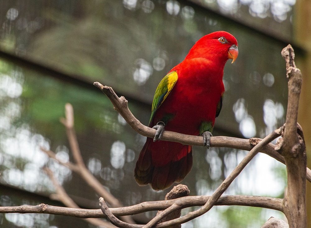 Photograph by Behnam Khoshbaten