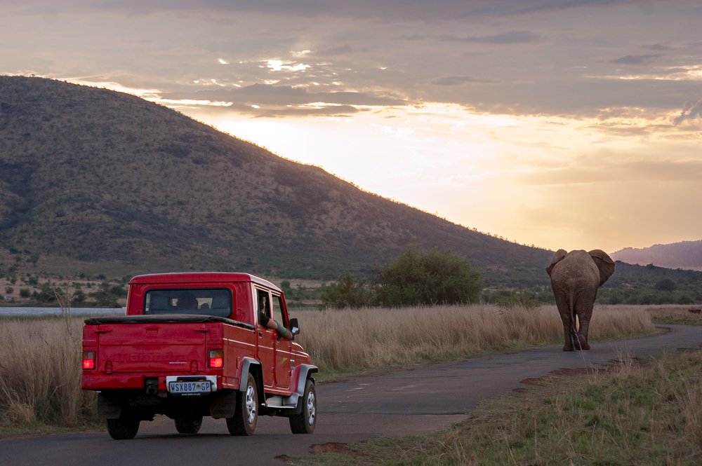 Photograph by Данил Луговой