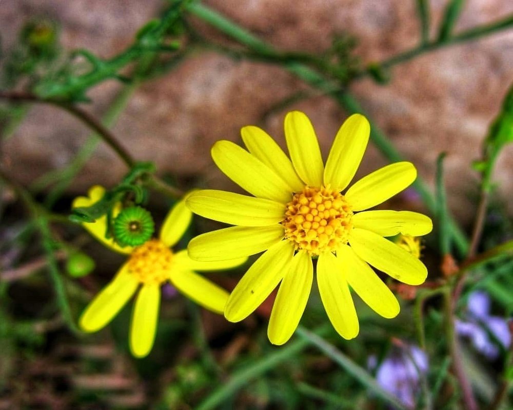 Photograph by Soleimani Hoda