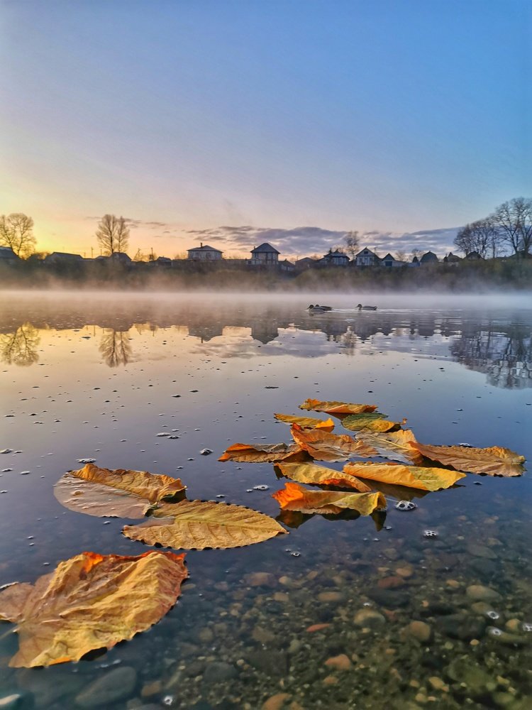 туман на реке