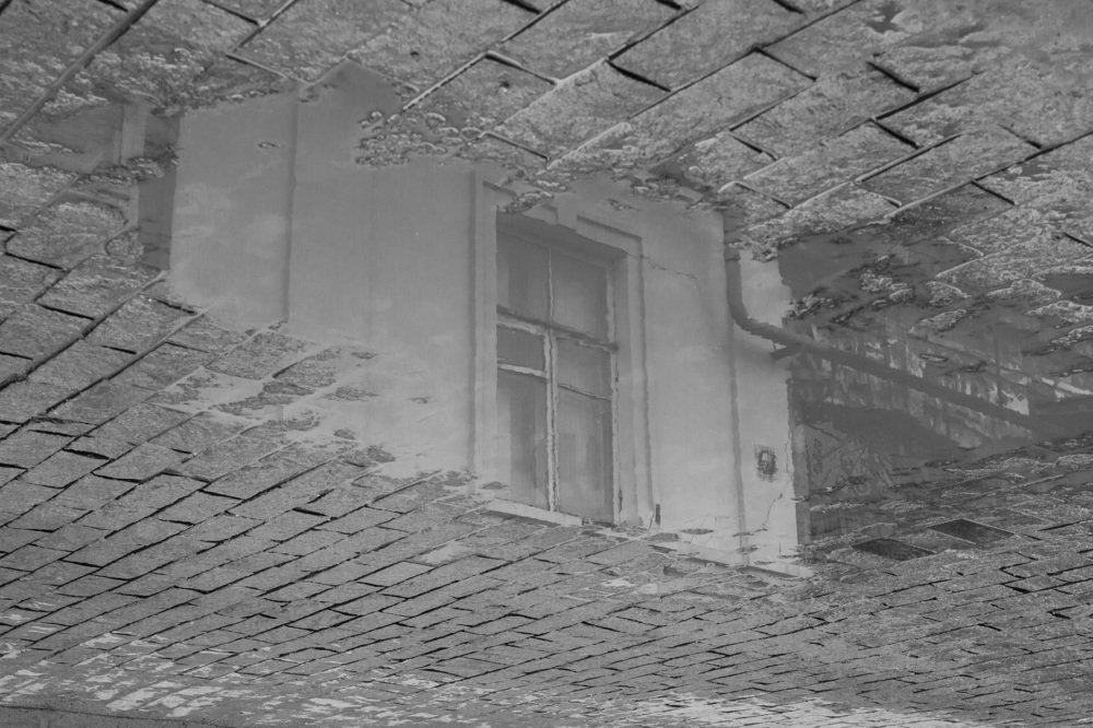 Фотография автора Алена Гамоля