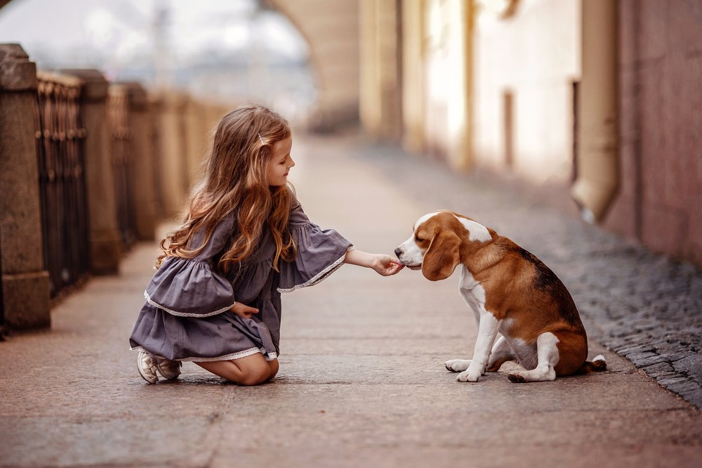 На улочках Петербурга