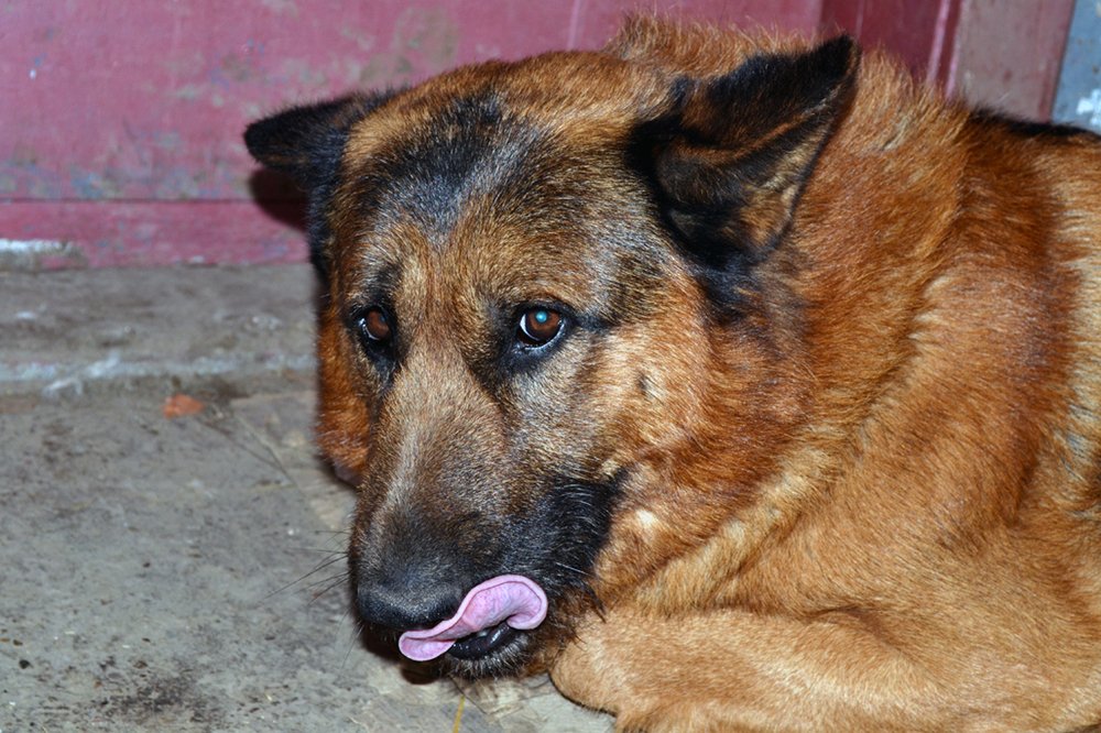 Photograph by Szabó László