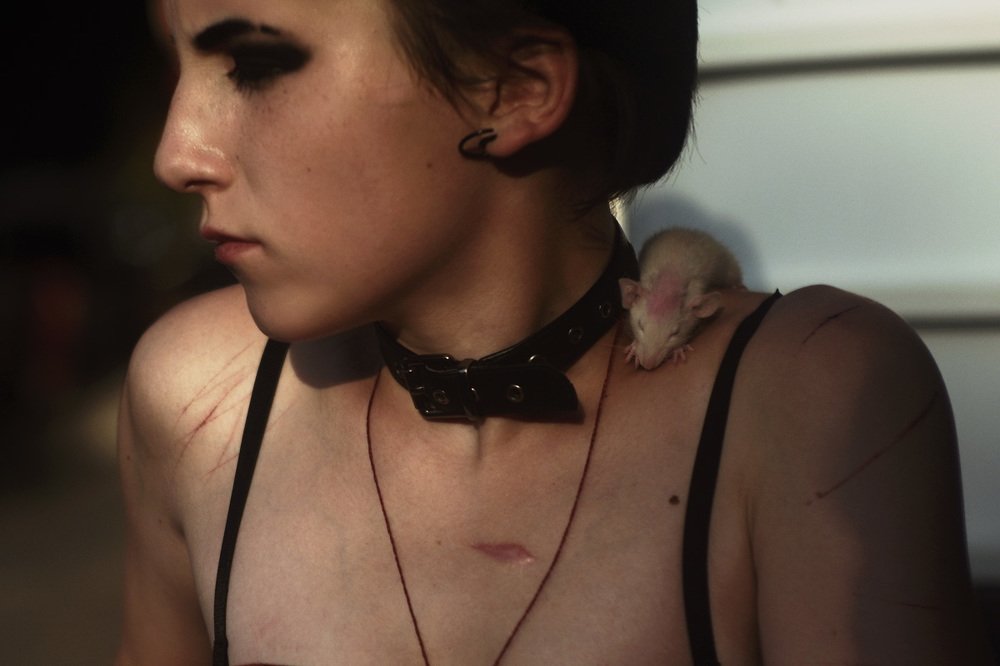 Photograph by вячеслав кузьменко