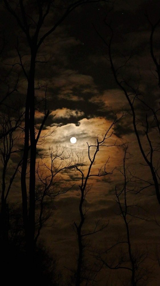 Photograph by Димитри Квирквелиа