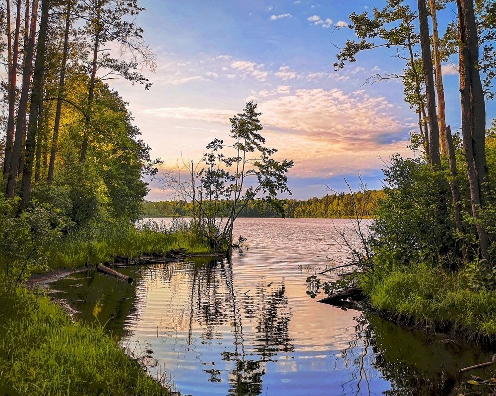 Перед закатом на озере...