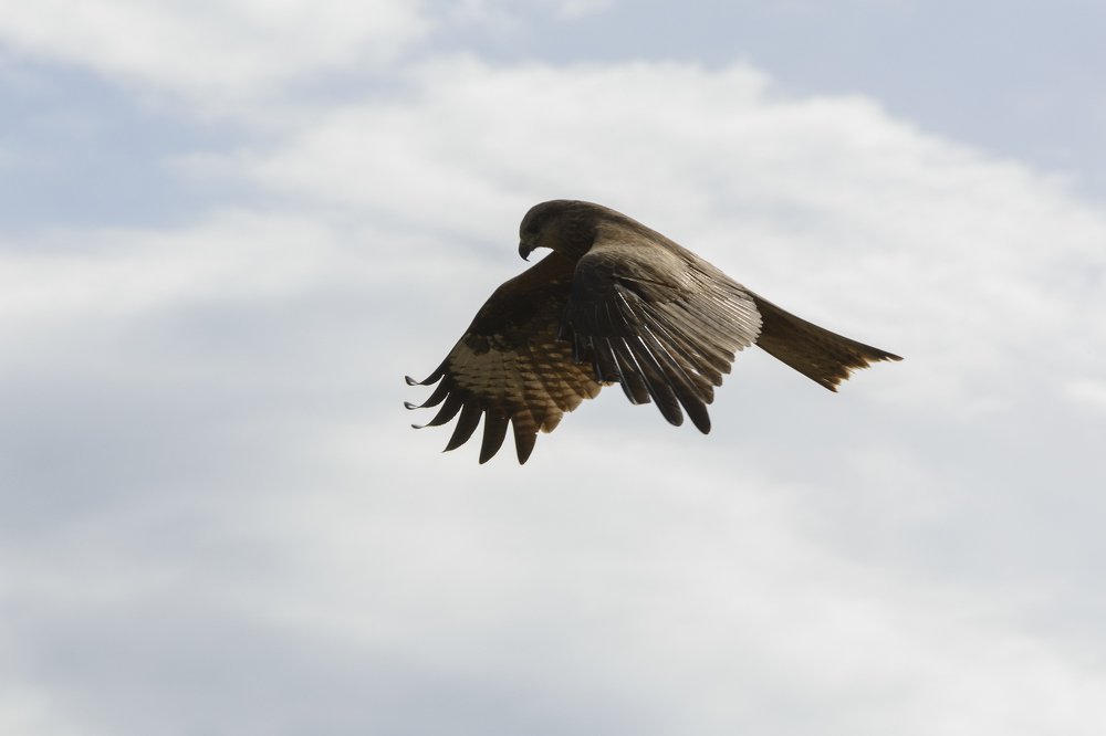 Photograph by Елена Вторушина