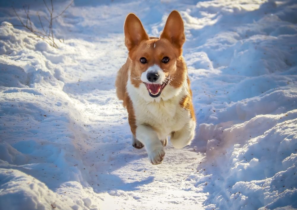 Photograph by Лариса Рулёва