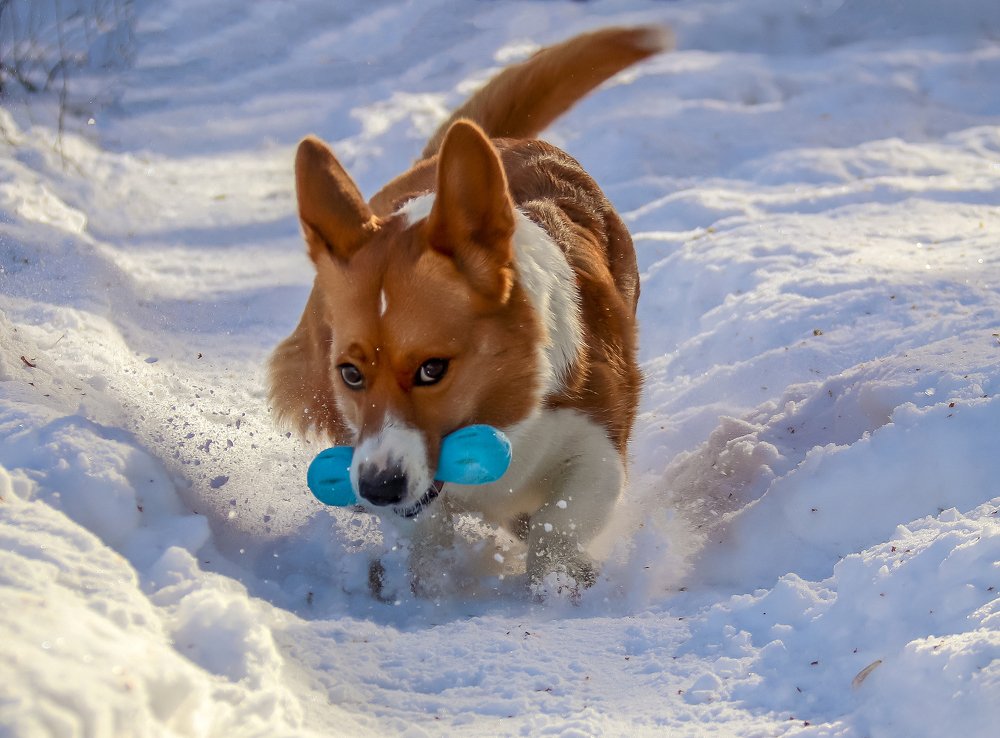 Photograph by Лариса Рулёва