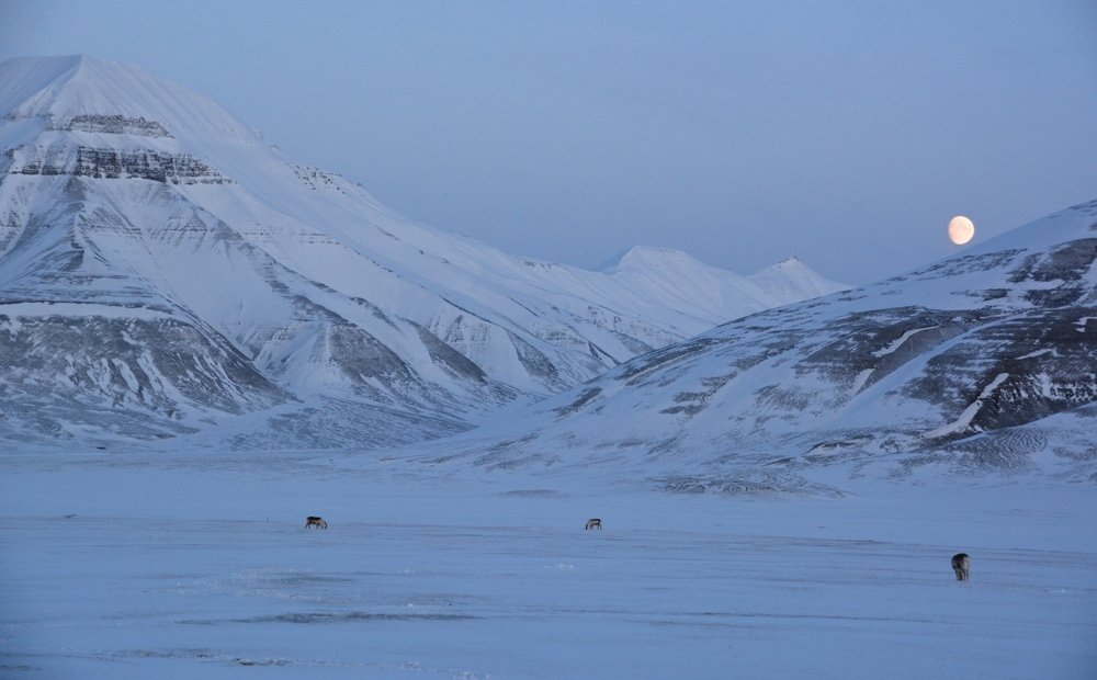 Quiet in the Valley Adventdalen.