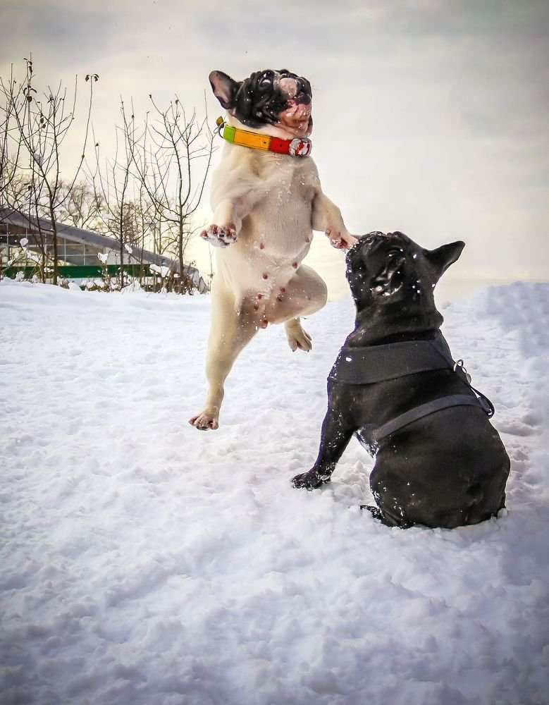 Photograph by Лариса Рулёва