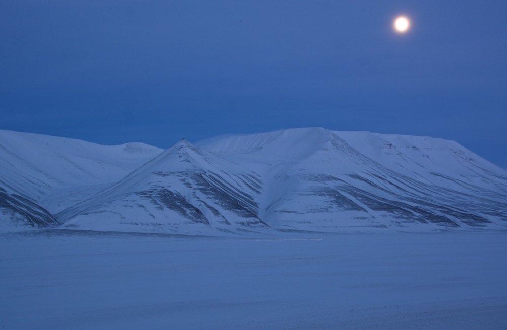 Good morning, Svalbard!