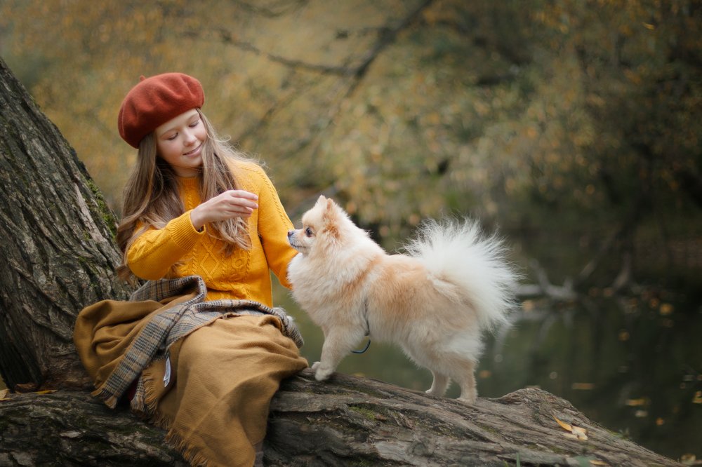 Photograph by Людмила Казак