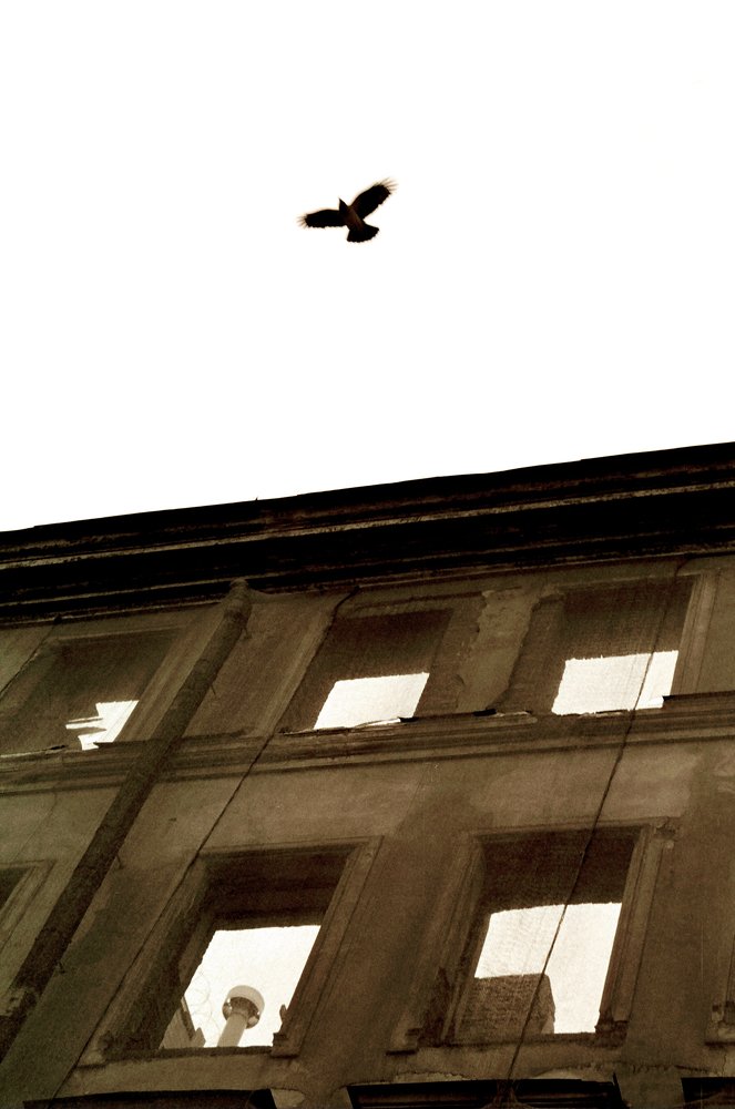 Photograph by Denis Serafimovich