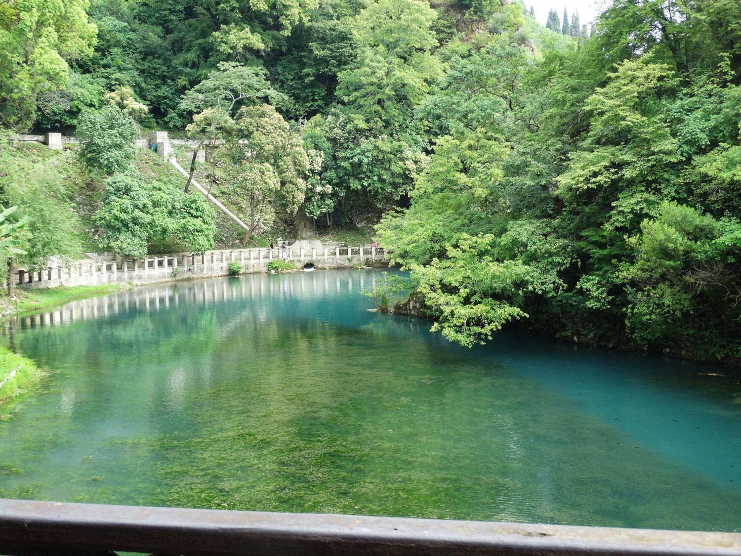 Photo #3845441