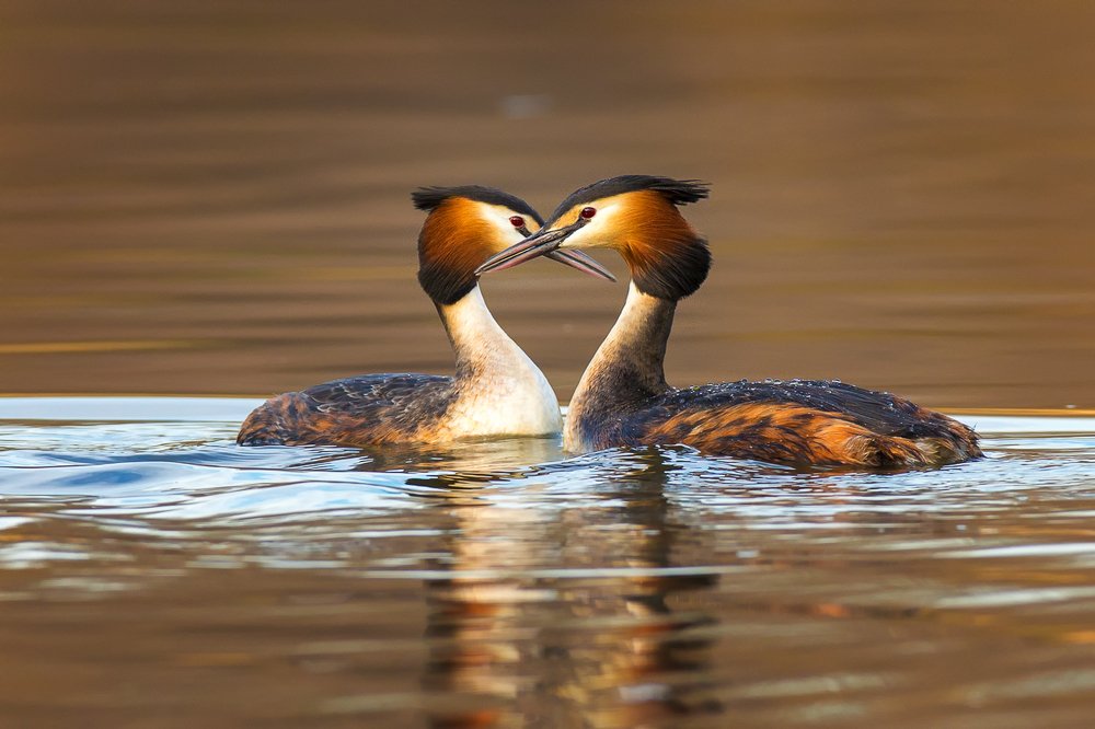 Photograph by Власов Егор