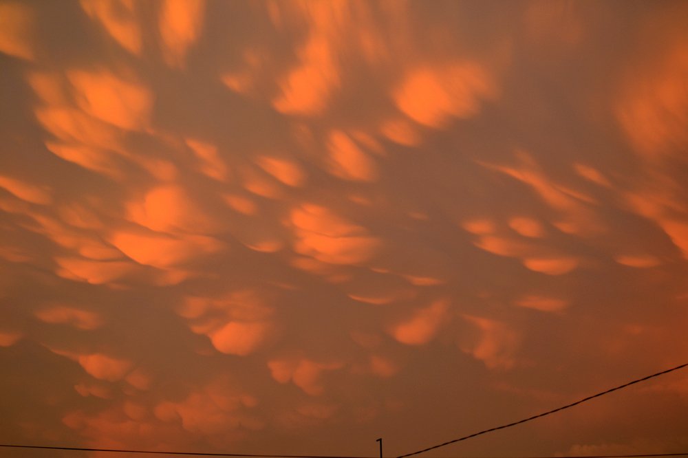 Photograph by Szabó László