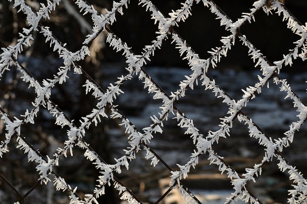 Photograph by Szabó László