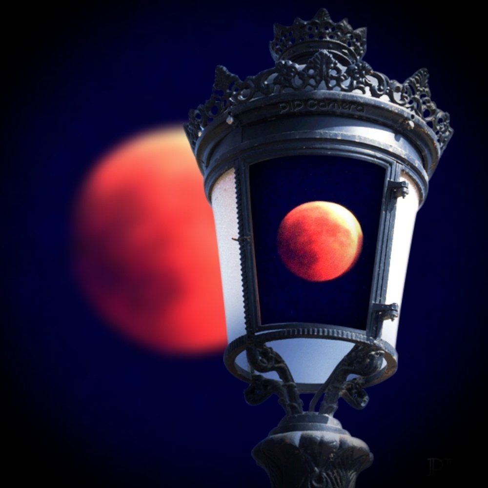 Photograph by Mojca Rebol