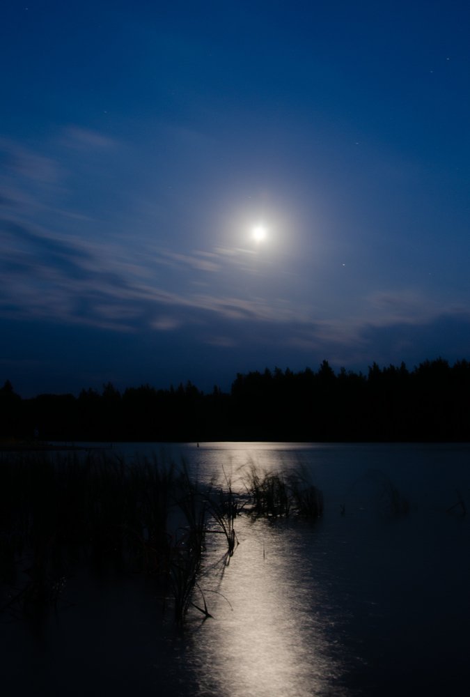 Photograph by Александр Овсенёв