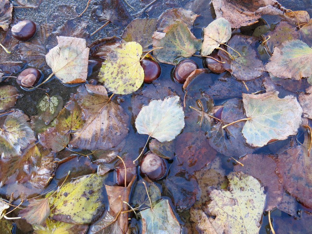 Photograph by ЭЛЬМИРА  ИСМАИЛОВА