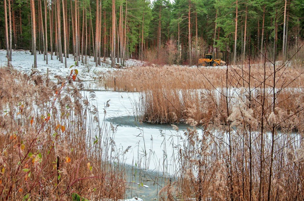 Photograph by Игорь Медянцев