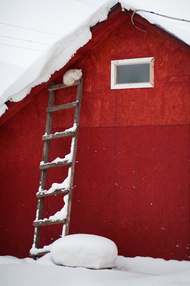 Photograph by Юлия