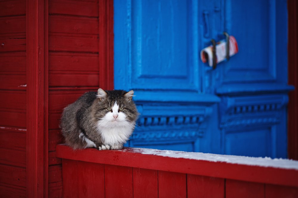 Photograph by Юлия