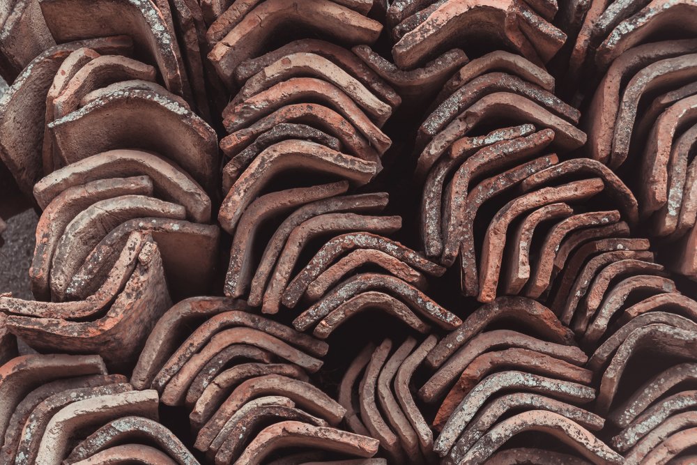 Photograph by Ira Shpiller