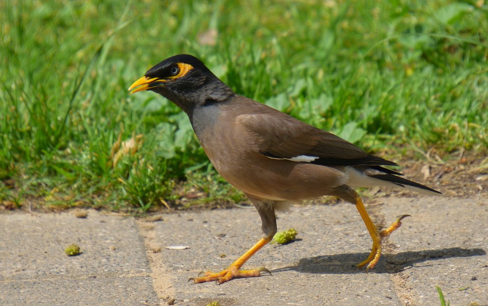 Photograph by Анатолий Хальман