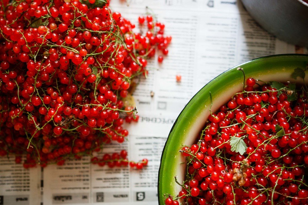 Photograph by Александра Данилюк