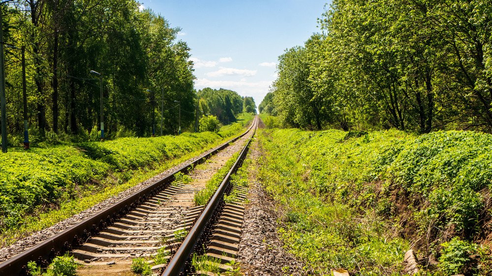 Photograph by Виктор Пономарёв