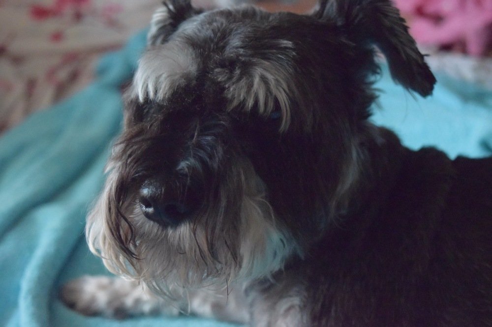 Photograph by Ольга Донец