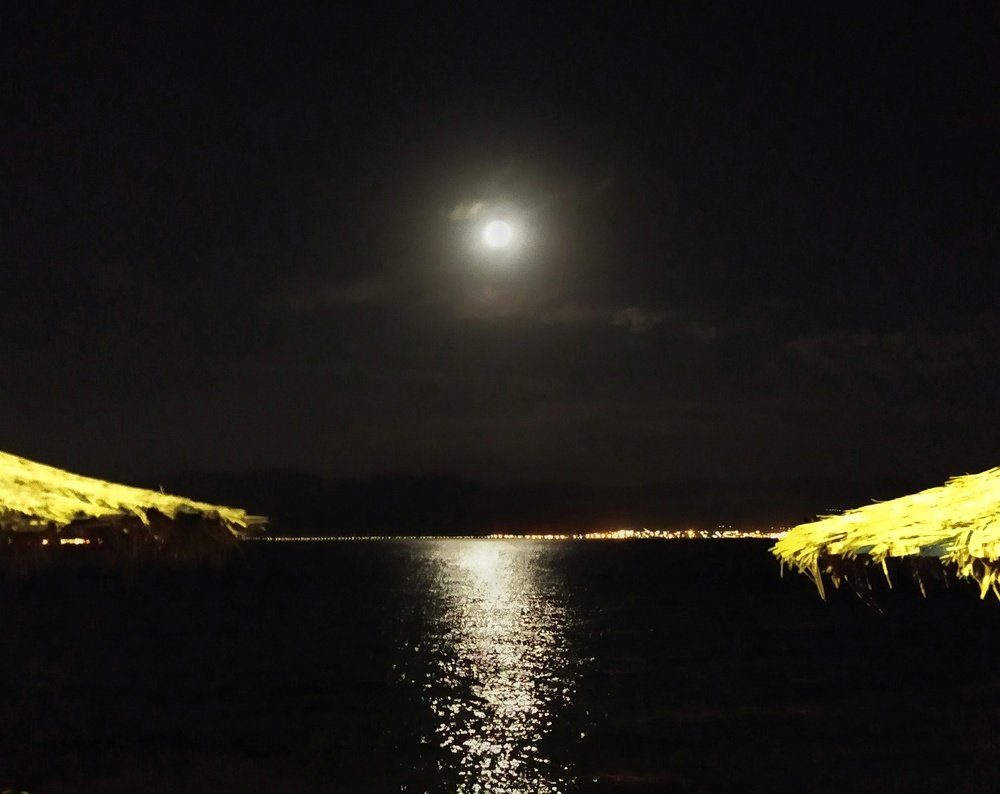 Photograph by Israel Roistacher