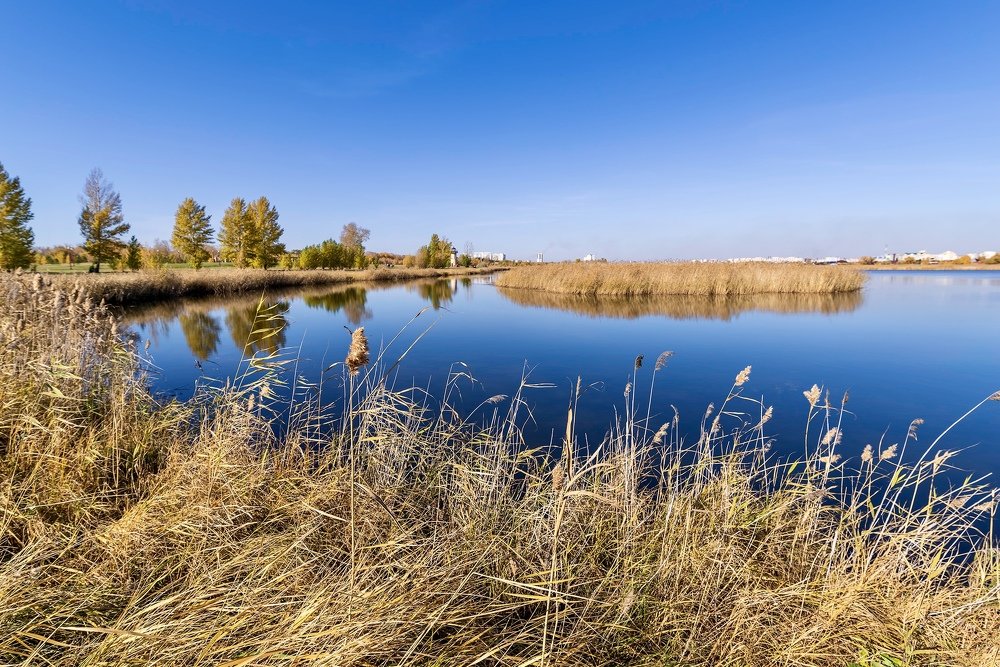 Photograph by Дмитрий Шерстнев