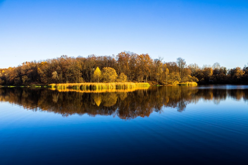 Photograph by Вероника Новикова