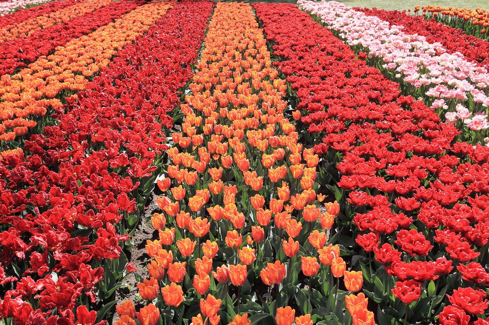 Photograph by Людмила Селегенева