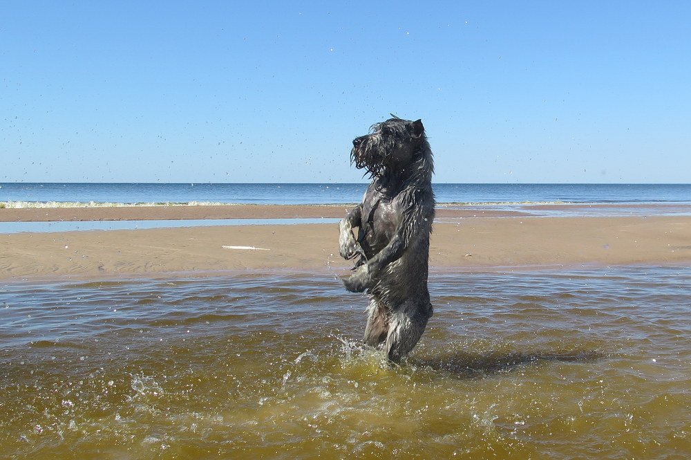 Фотография автора Ольга Завадилика