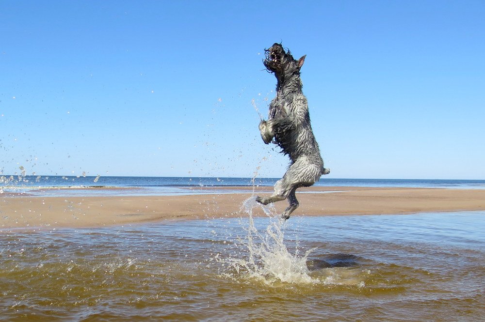 Три, два, один ..Пуск!