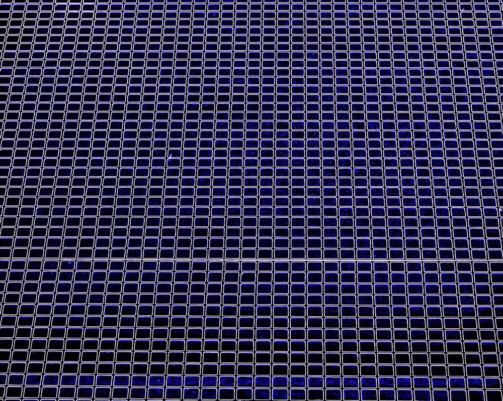 Grid / Решетка