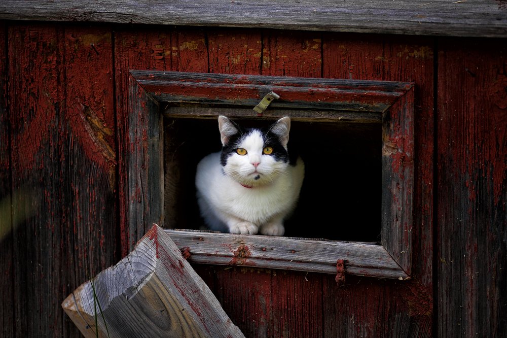 Photograph by Юлия