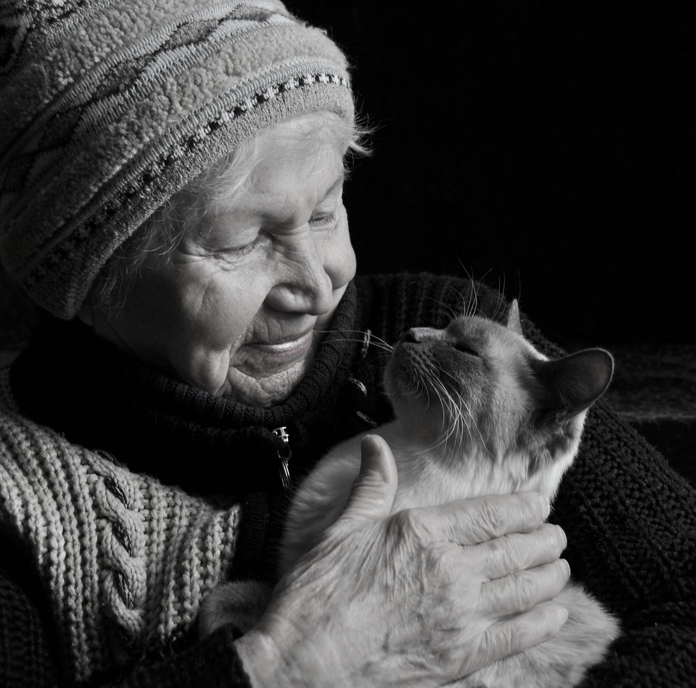 Привязанность...