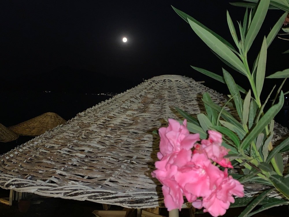 Photograph by Светлана Хохлова